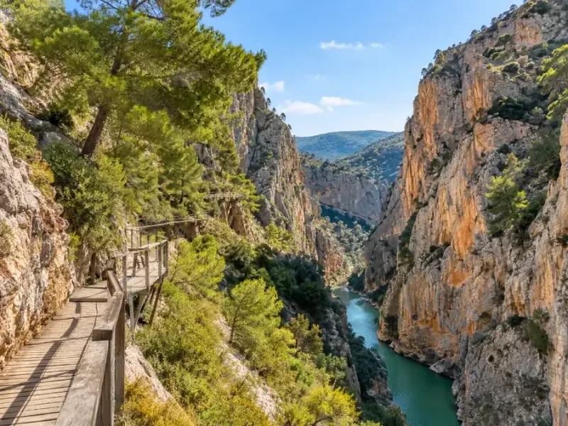 An open valley with pines and limestone outcrops between two gorges